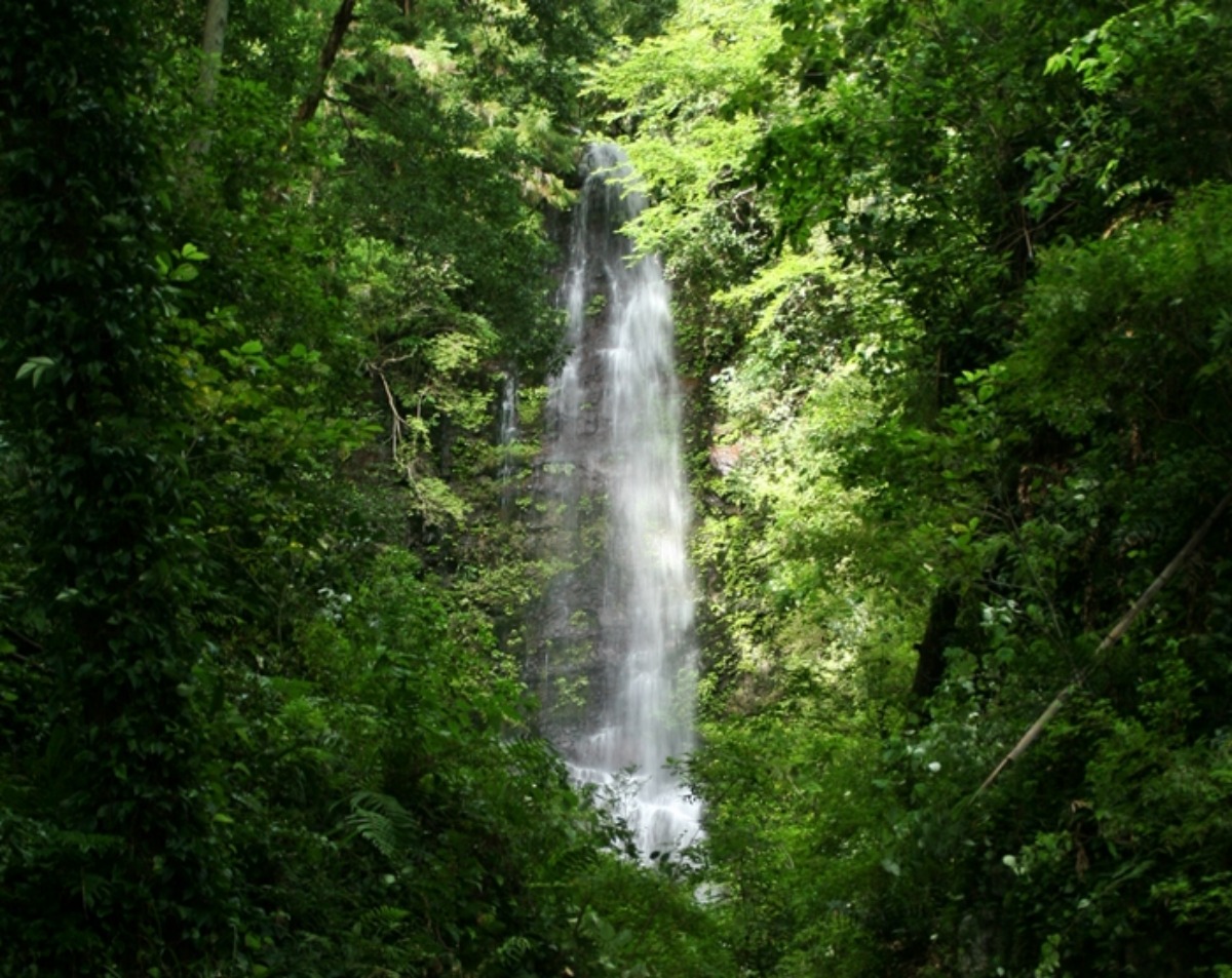 e0033229_21425120.jpg