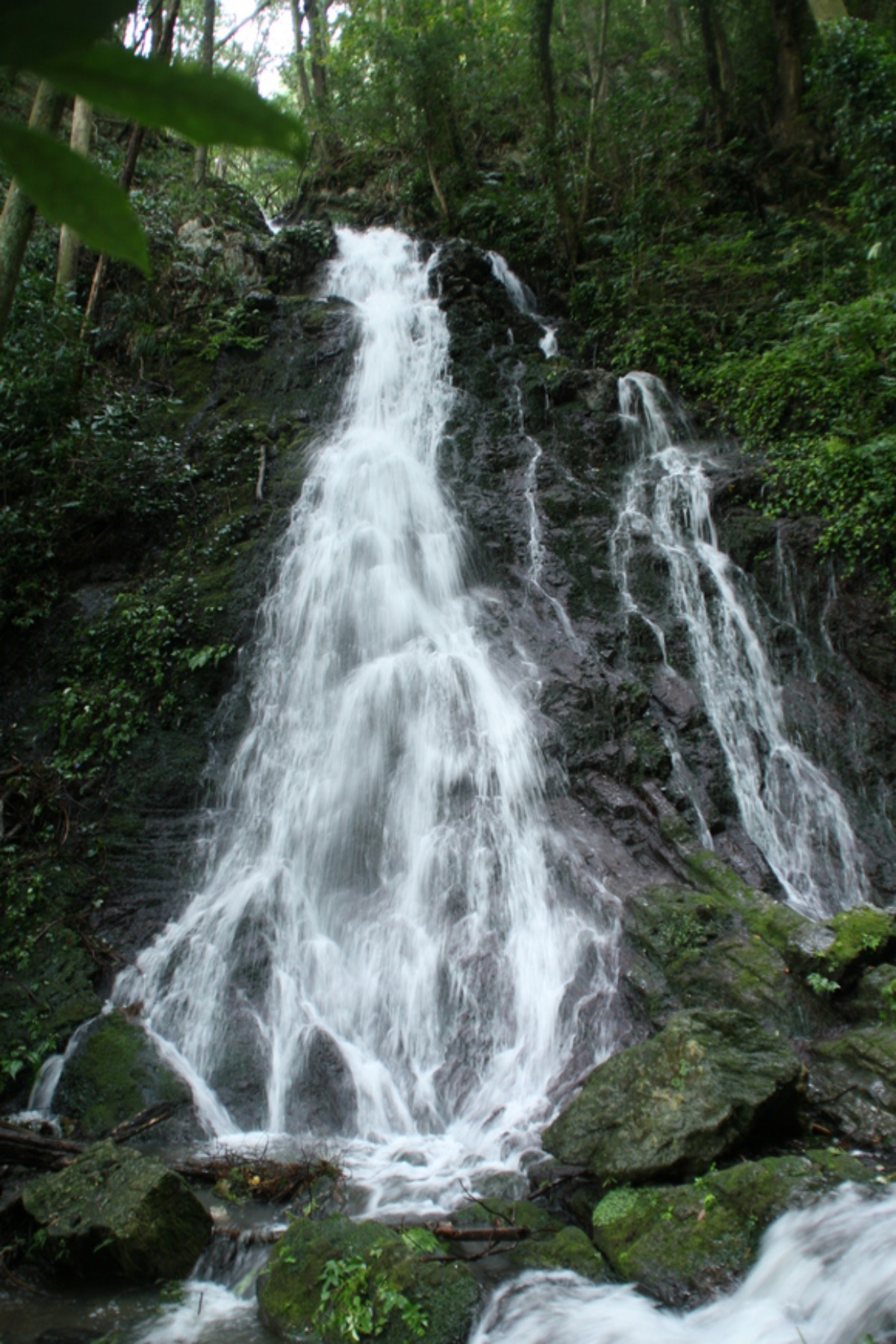 e0033229_21441650.jpg
