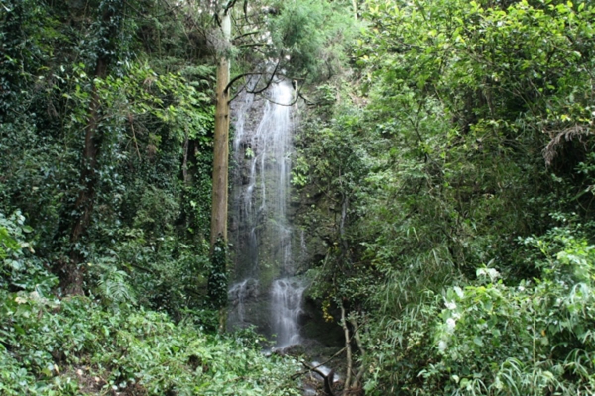 e0033229_21465899.jpg