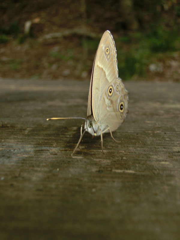 a0126632_9421553.jpg