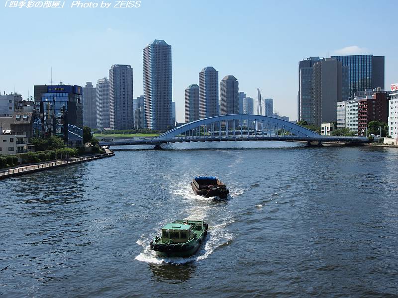 a0195032_1355125.jpg