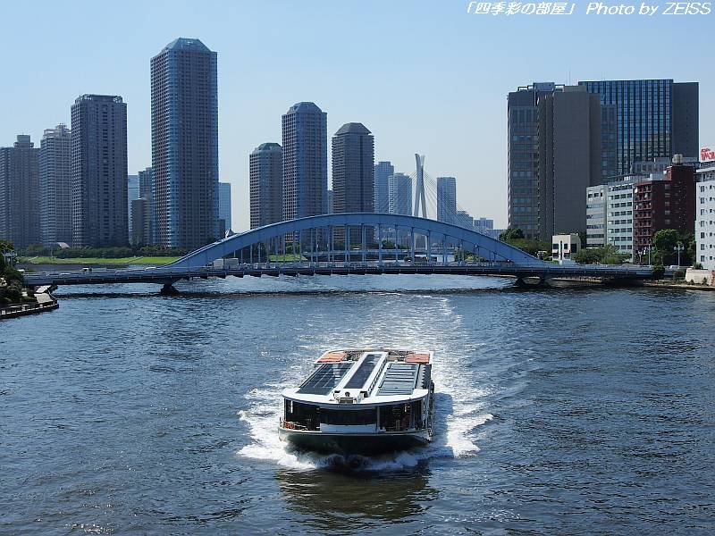 a0195032_13564550.jpg