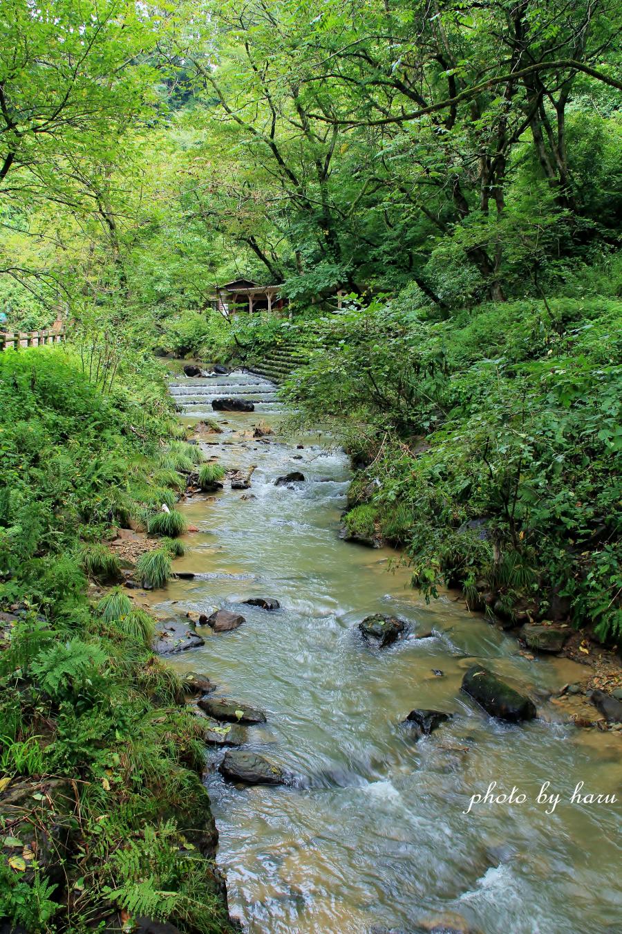 f0297537_18424364.jpg