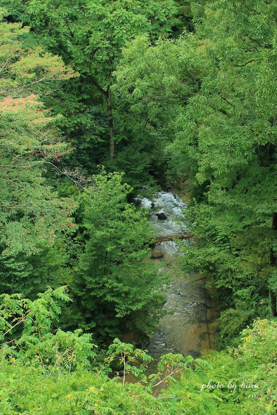 f0297537_18435260.jpg