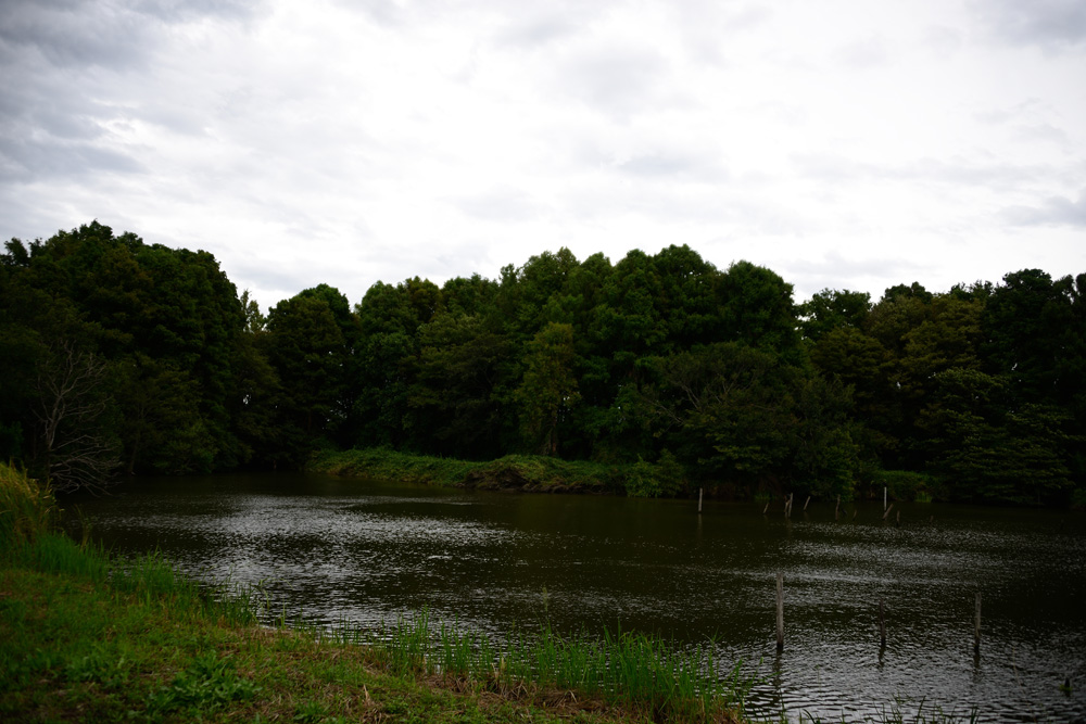 c0221838_15411577.jpg