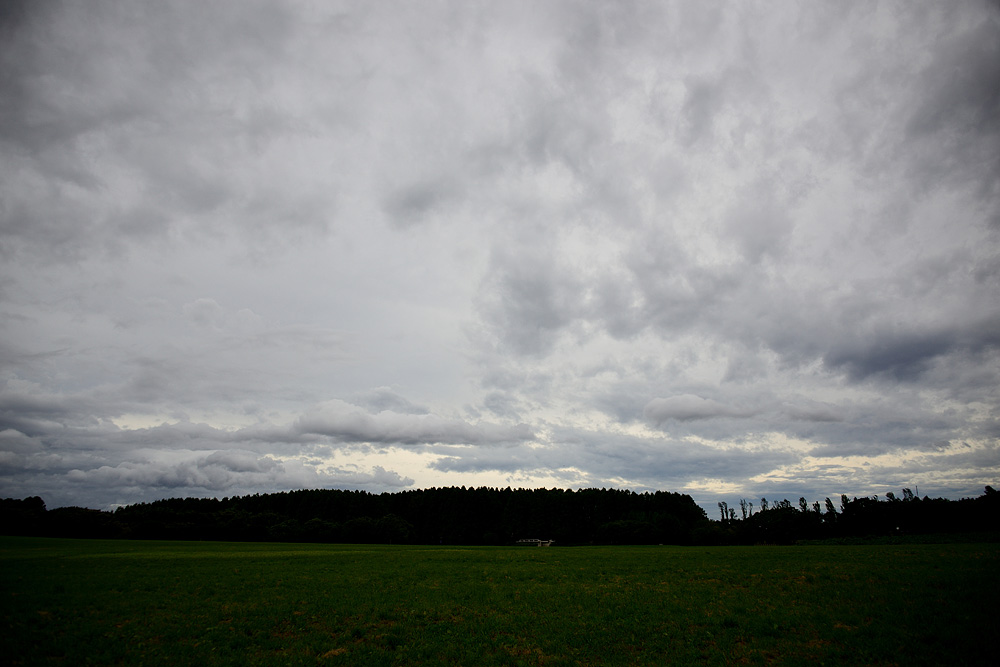c0221838_1541194.jpg