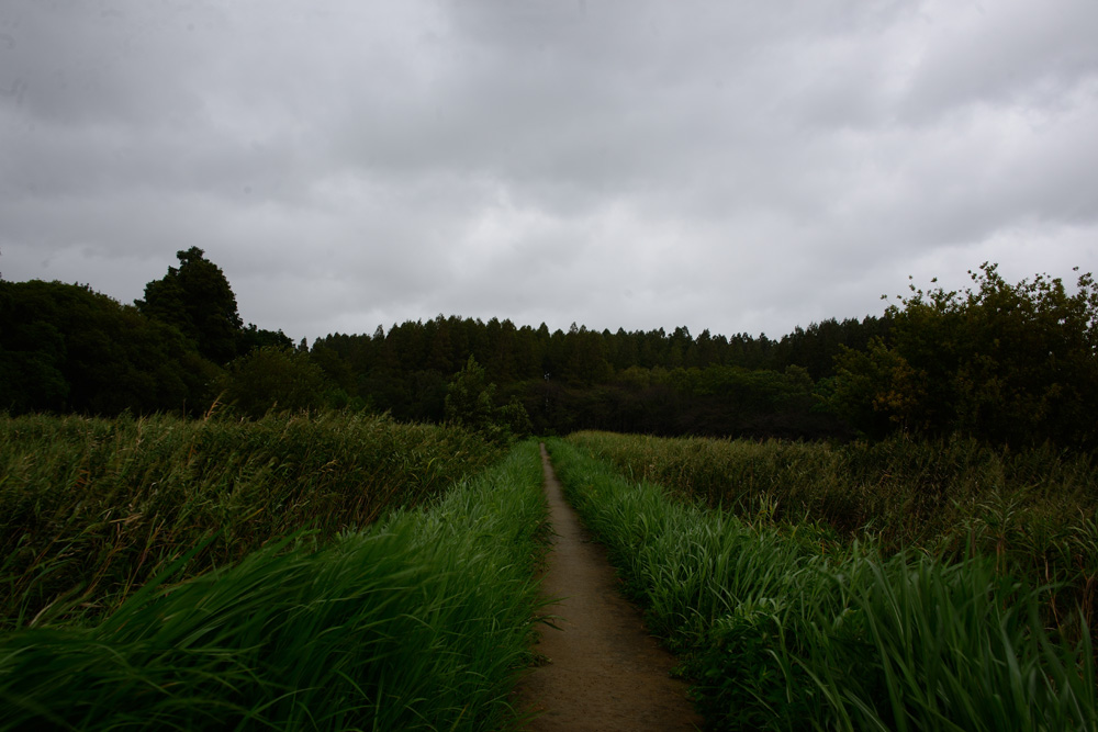 c0221838_15412663.jpg