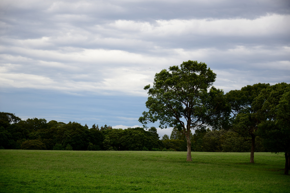 c0221838_15424556.jpg