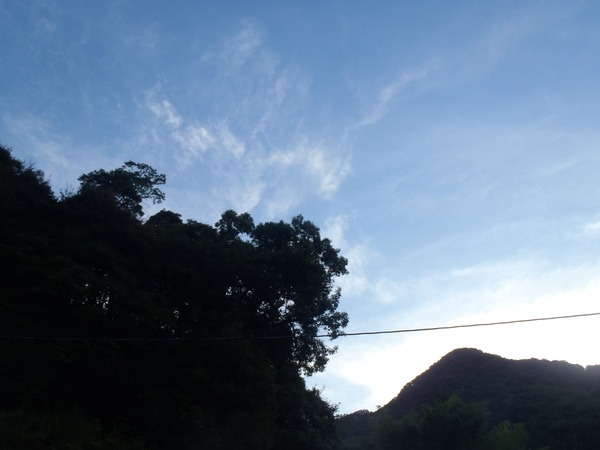 a0054240_21535771.jpg