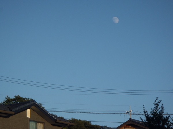 a0054240_2231526.jpg