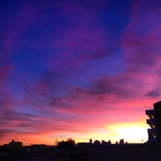 a0117440_2219196.jpg