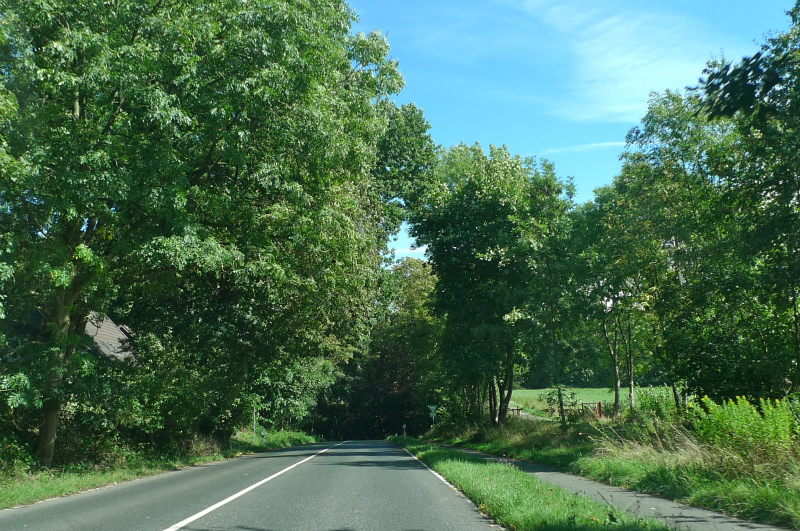 c0153740_21272331.jpg