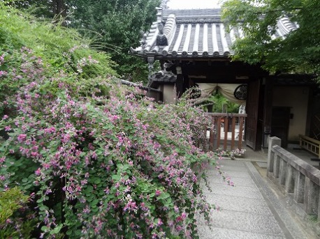b0299042_993163.jpg