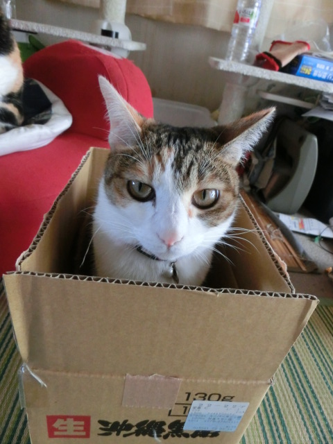 c0194042_225634.jpg