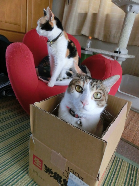 c0194042_226270.jpg