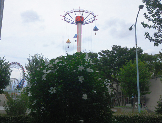 f0161647_11405898.jpg