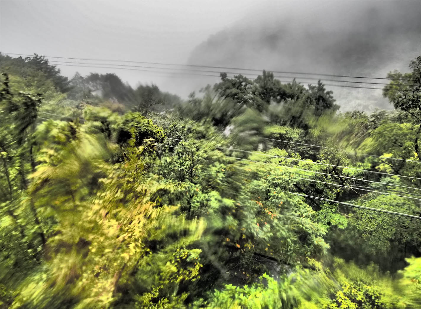 d0317548_1551229.jpg