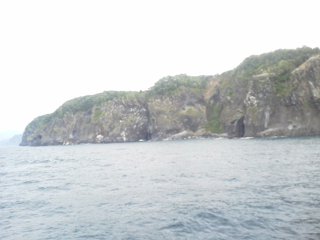 e0150849_18515456.jpg