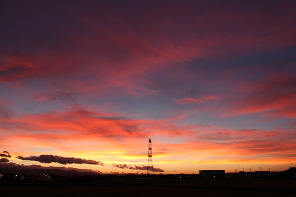 f0220152_18101025.jpg