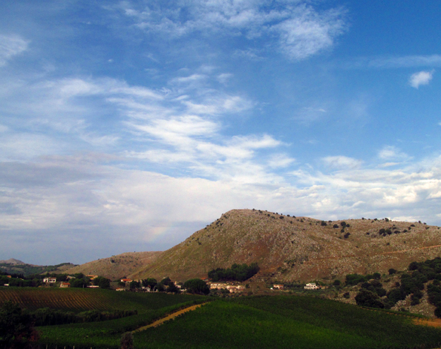 f0178153_1205845.jpg