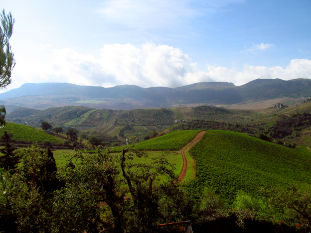f0178153_1791449.jpg