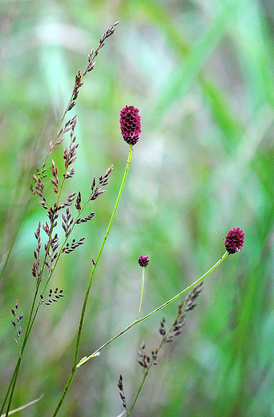 a0001354_22574979.gif