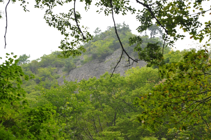 d0169556_9171075.jpg