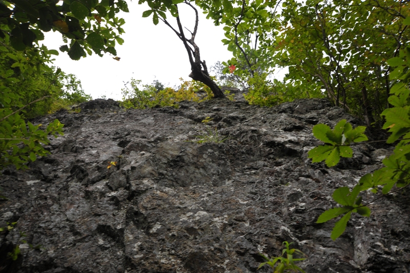 d0169556_9185891.jpg
