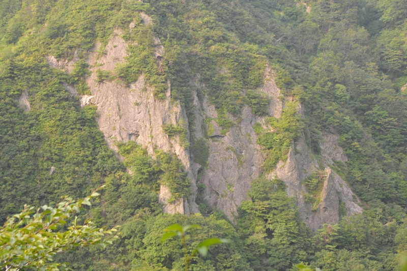 d0169556_918849.jpg