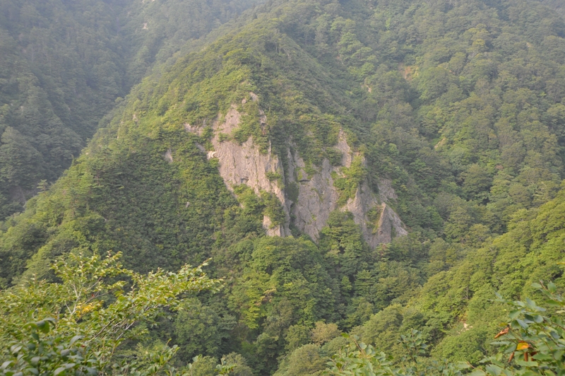 d0169556_9192947.jpg