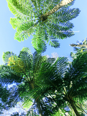 f0229759_123532.jpg