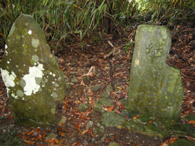 d0182075_956263.jpg