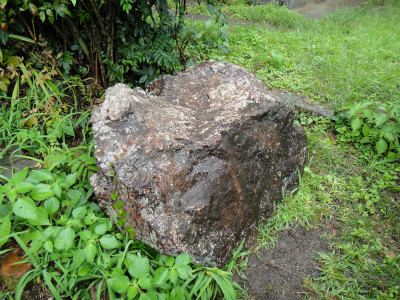 d0182075_959322.jpg