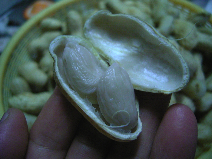 d0225575_22132877.jpg
