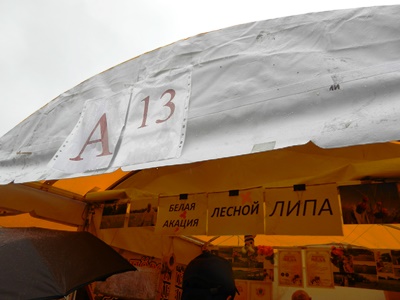 f0209878_3414954.jpg