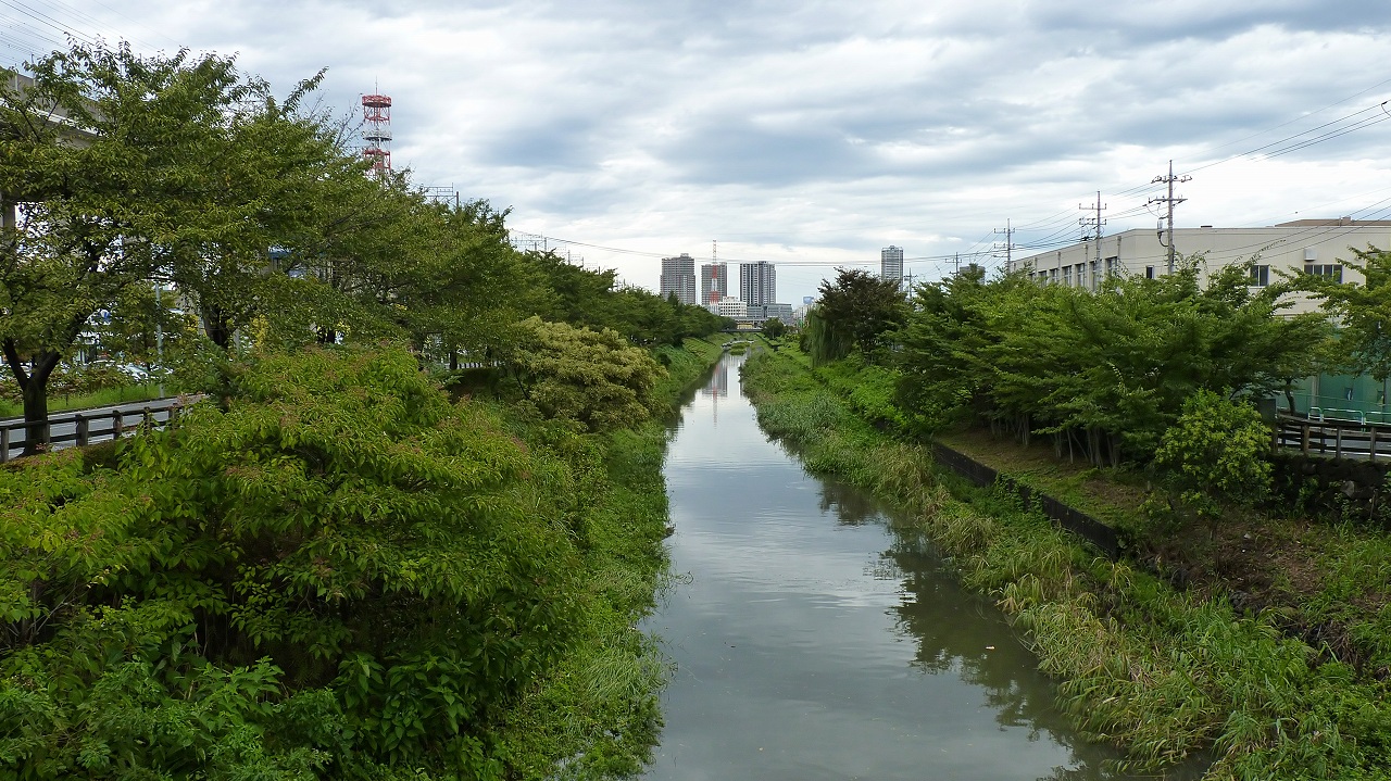 a0185081_19452516.jpg