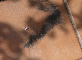 e0130185_10103068.jpg
