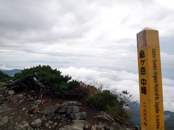 f0125091_1172462.jpg