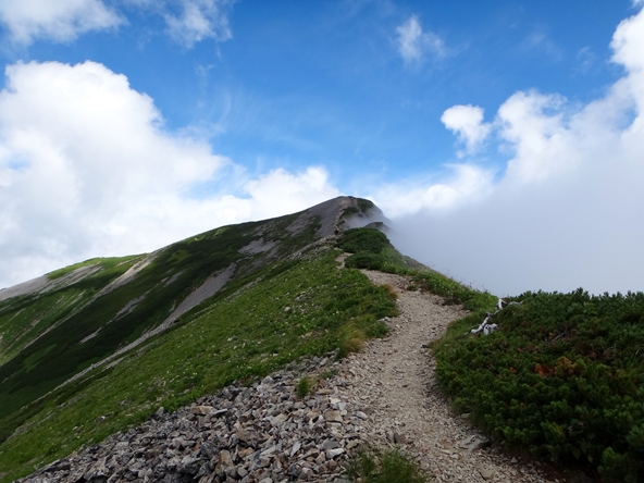 f0125091_1223921.jpg