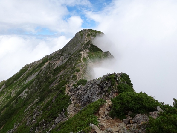 f0125091_1341156.jpg