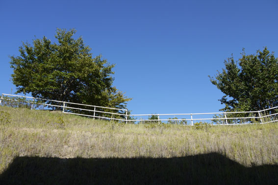 f0222692_16162233.jpg