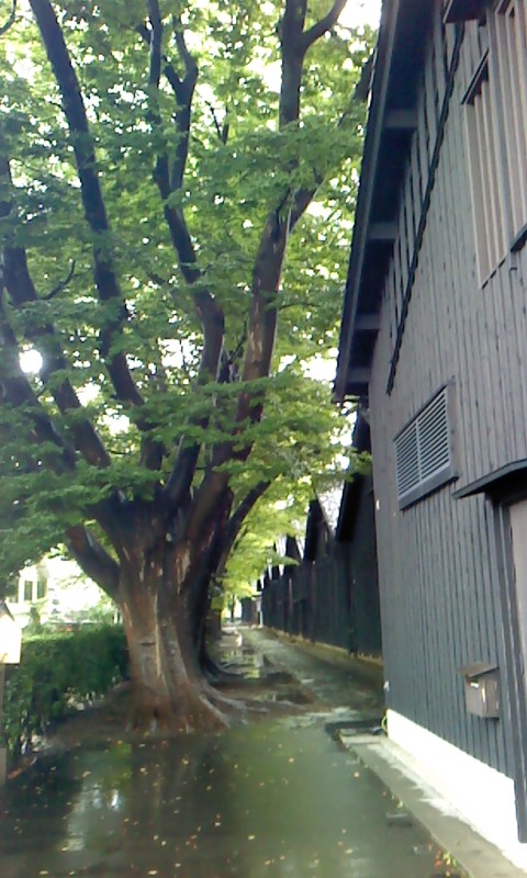 f0010195_12514212.jpg