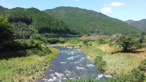 a0143296_1733141.jpg