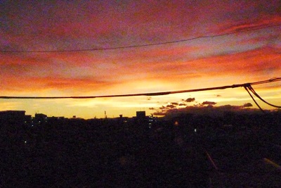 d0180499_2132164.jpg