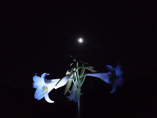 c0272200_11504723.jpg