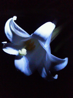 c0272200_11522948.jpg