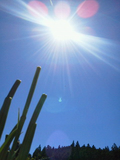 c0272200_12212855.jpg