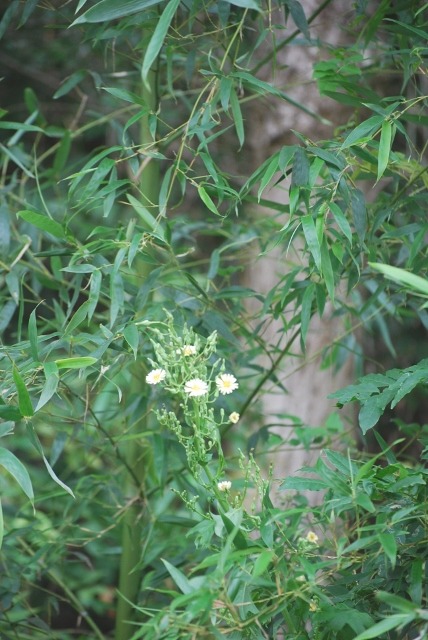 e0025300_2024286.jpg