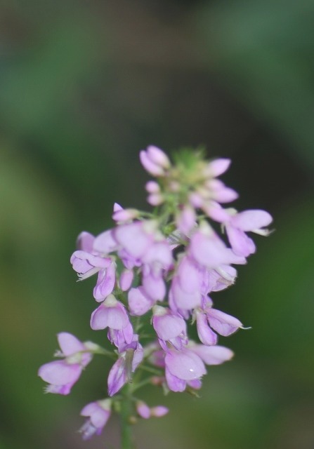 e0025300_20344958.jpg