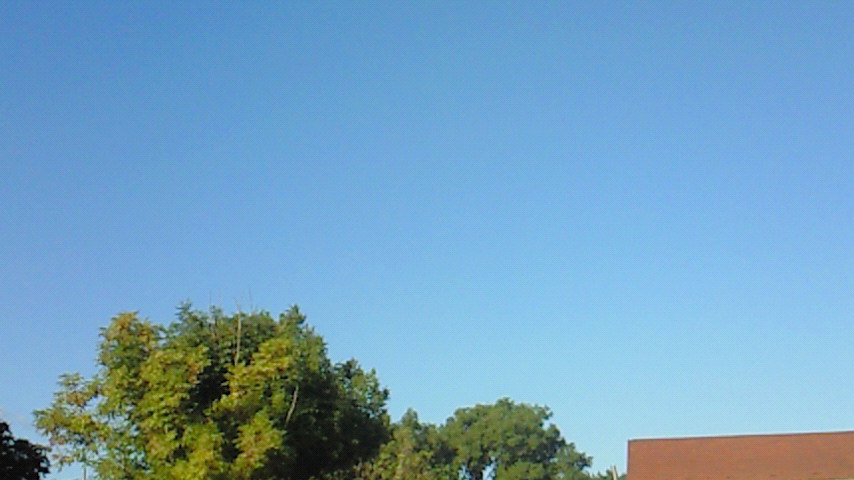 d0149105_7463183.jpg